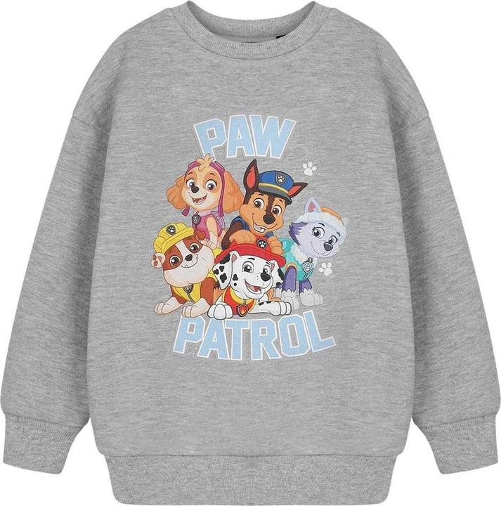 Actual product image Paw Patrol Childrens/Kids Collegiate Sweatshirt (116)