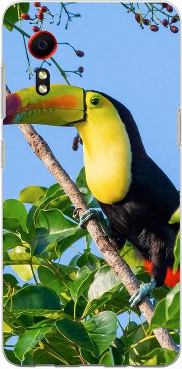 Tucan