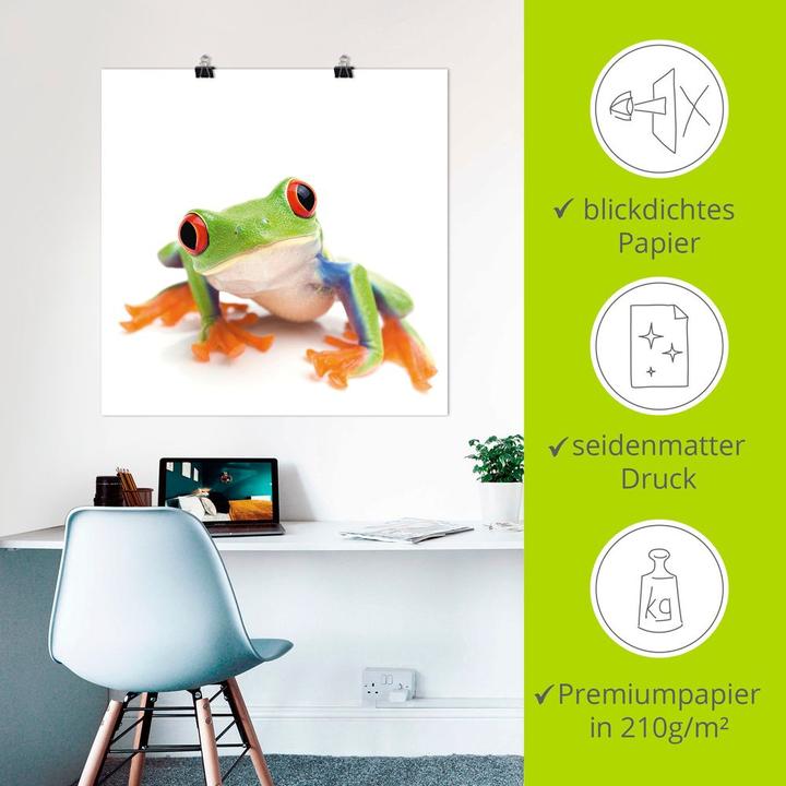 Immagine prodotto Artland Quadro su tela su barella primo piano di una rana di fronte al bianco T5WY 40x40 cm (50x50 cm)