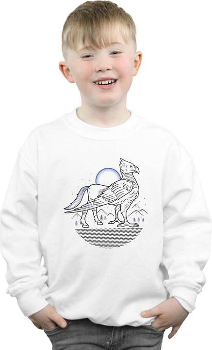 Actual product image Boys Buckbeak Line Art Sweatshirt (152, 158)