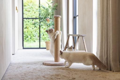 Actual product image Designed by Lotte Scratching post (70 cm, Rose)