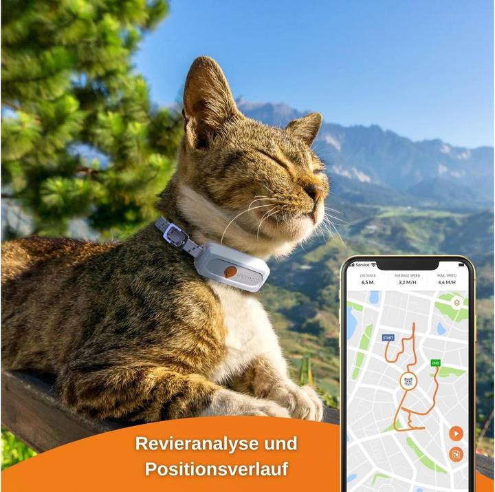 Actual product image Weenect GPS Tracker XS for cats, white (iOS, Android)