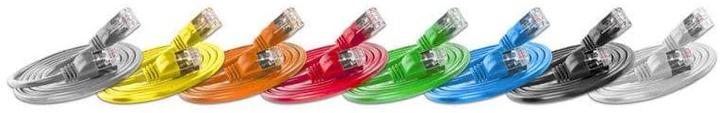 Actual product image Wirewin Network cable (F/FTP, CAT6, 10 m)