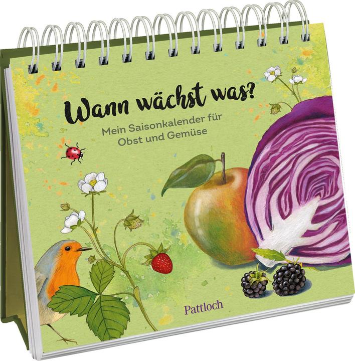 Produktbild Wann wächst was? (Harter Einband, Deutsch)