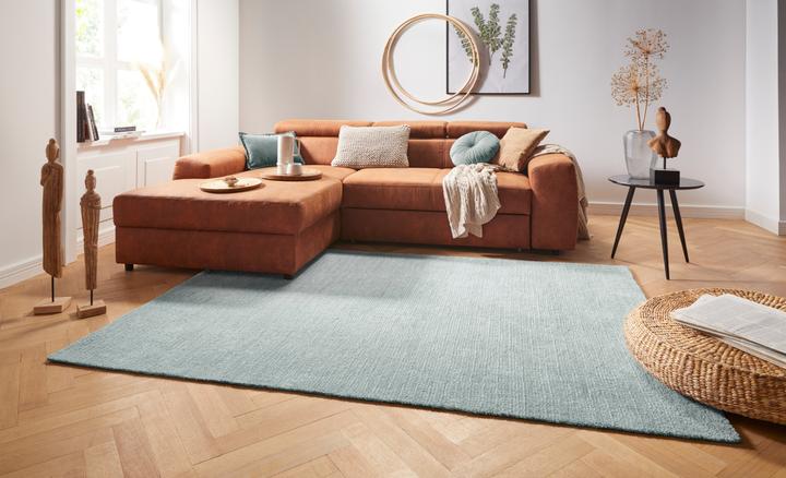 Produktbild Mint Rugs Supersoft (170 x 120 cm)