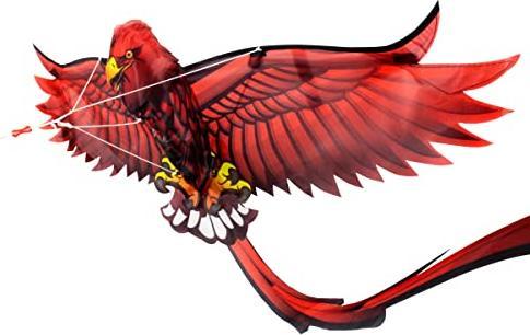 Actual product image Eolo Kites Ready 2 Fly - Pop-up 3D Kite Eagle