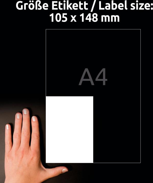 Actual product image Avery AVZ L8003-10 Antimicrobial labels 105x148mm weiss