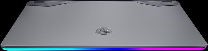 Image du produit MSI Raider GE76 (17.30", Intel Core i7-12700H, 32 Go, 1000 Go, CH)