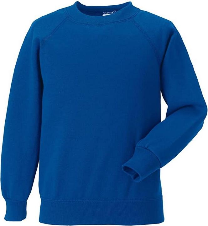 Bleu roi soutenu