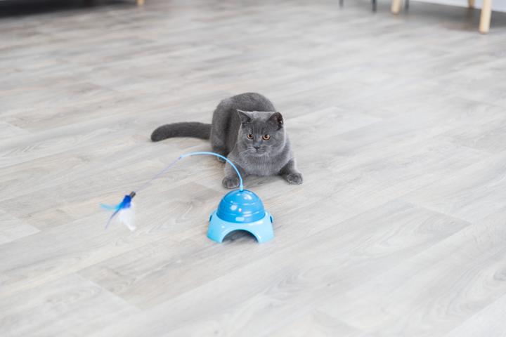 Actual product image Trixie Catch Me (Catmint toy)