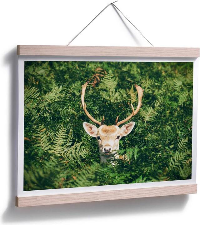 Actual product image Trenddeko Hide and seek in the forest (50 x 40 cm)