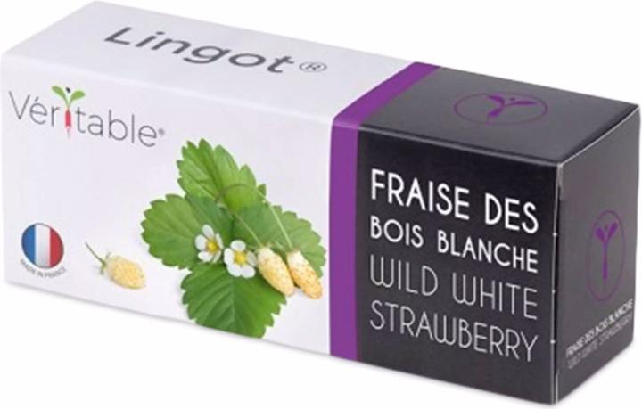 Actual product image Véritable Lingot white wild berries BIO (Fruit seed)