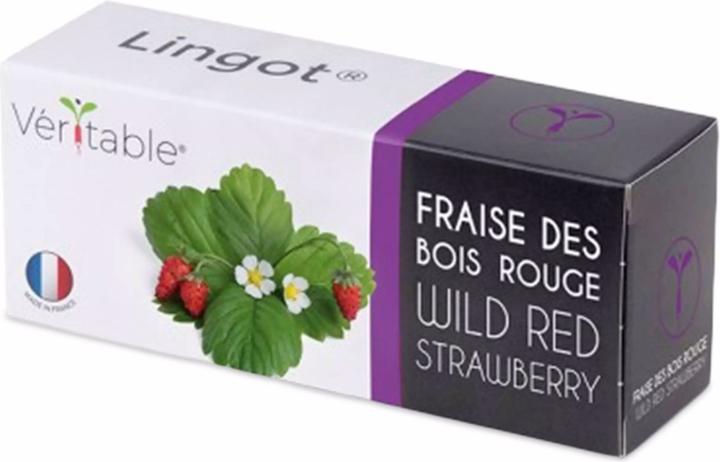 Image du produit Véritable Lingot Fraise des bois rouge BIO (Graines de fruits)