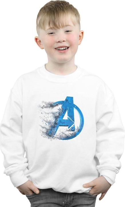Immagine prodotto Garçons Felpa con logo spolverato Avengers Endgame (140, 146)
