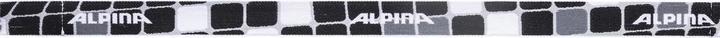 Image du produit ALPINA SPORTS Carvy 2.0