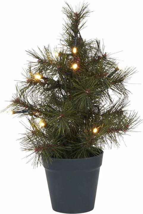 Actual product image House Doctor Pinus