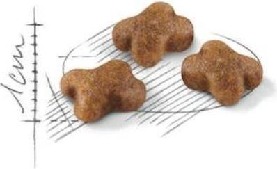 Image du produit Royal Canin Chaton 36 (Junior, 1 pcs, 400 g)
