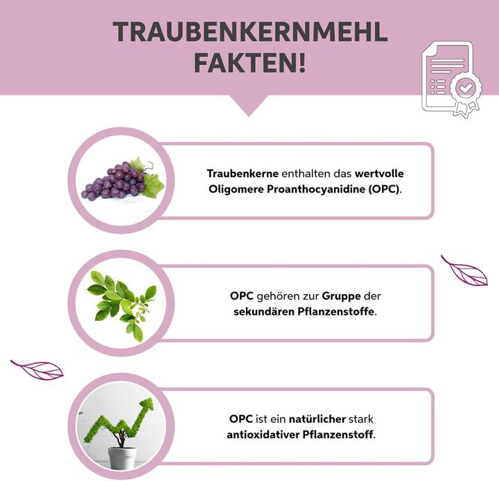 Immagine prodotto Eltabia Farina di semi d'uva biologica OPC Estratto di semi d'uva in polvere Premium Raw Food Quality (1 Pezzo/i, Polvere, 200 g)