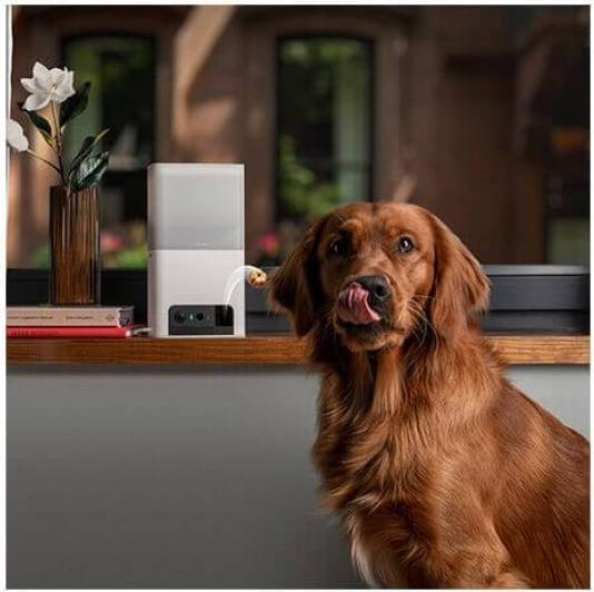 Produktbild Petcube Haustierkamera mit Leckerli Ausgabe (1000 l)