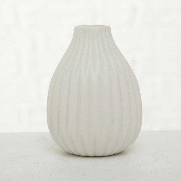 Immagine prodotto Boltze Home Esko (1 x, 11 x 11 x 11 cm, 3 l)