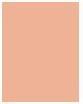 Actual product image Maybelline New York Face Studio City (250 Medium Warm, Bronzer, 8 g)