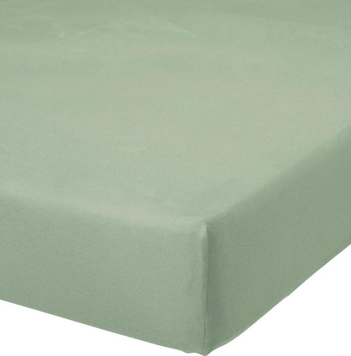 Verde pallido