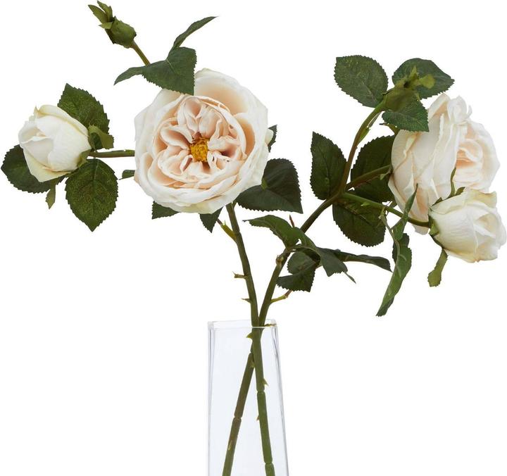 Immagine prodotto Hill Interiors The Natural Garden Collection Rosa della Carità Fiore Artificiale (58 cm)