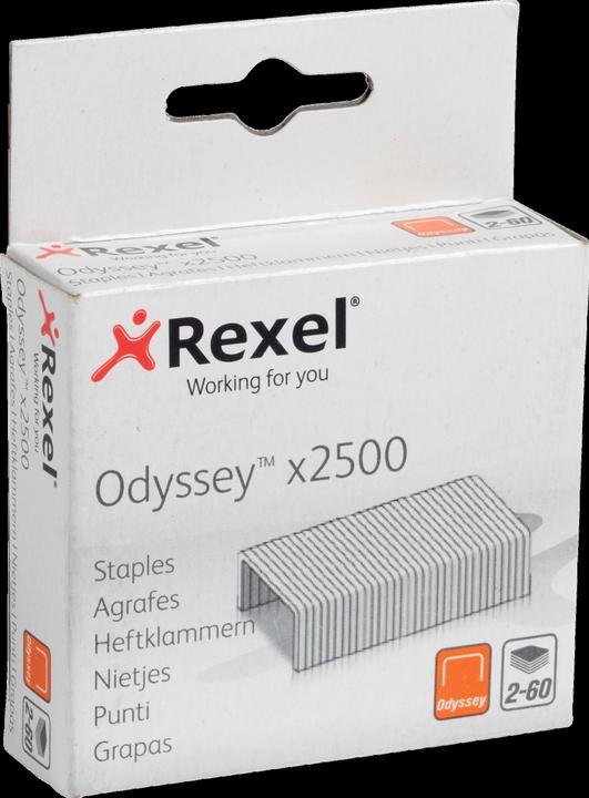 Image du produit Rexel Agrafes (2500 x)
