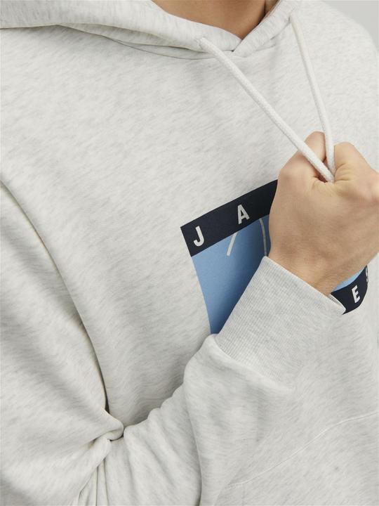 Image du produit Jack & Jones Sweat à capuche (S)