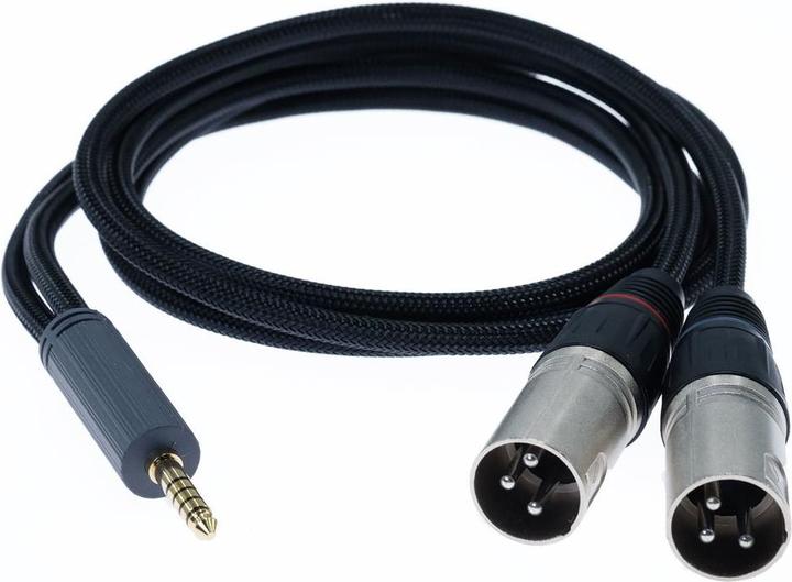 Actual product image iFi Audio 4.4 mm to XLR cable Standard Edition (1 m, XLR, 4.4mm (Bantam))
