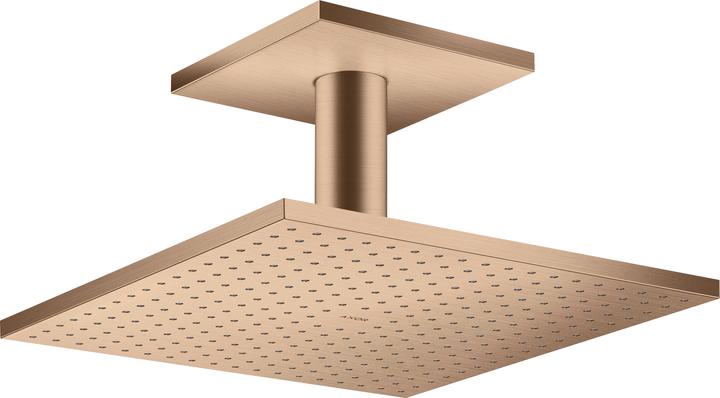Image du produit Axor ShowerSolutions douchette suspendue 300/300 2jet, raccordement au plafond (19 l/min)