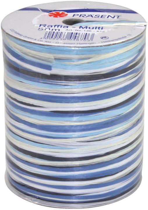 Image du produit Präsent Raffia Multi (Ruban, 1 x)