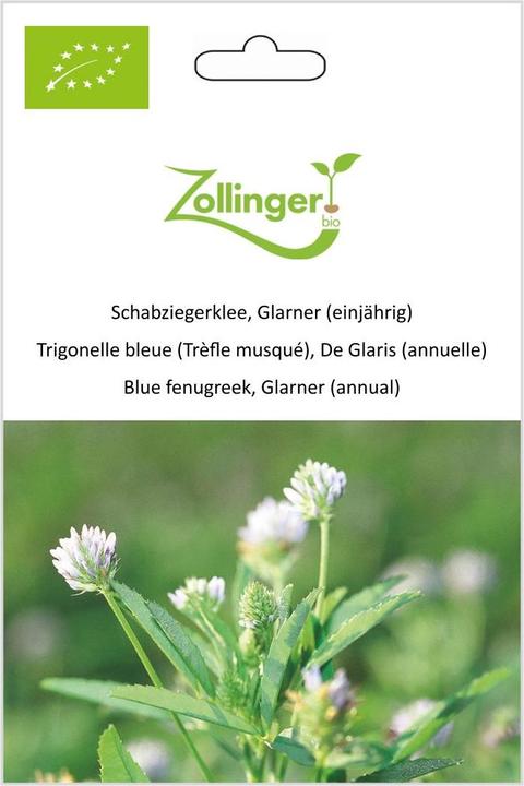 Zollinger Bio Schabziegerklee, Glarner (einjährig) (Pflanzensamen)