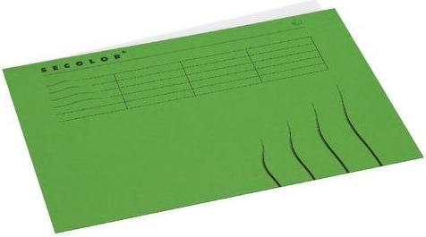 Image du produit Jalema Chemise Djois 3163108 DIN A4 Carton 310 mm x 220 mm Vert (A4, 1 x)