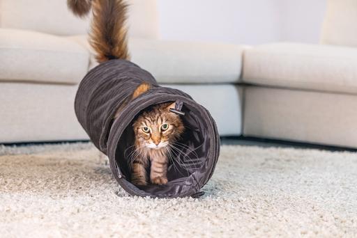 Actual product image Designed by Lotte Ribbed cat tunnel (Cat tunnel)