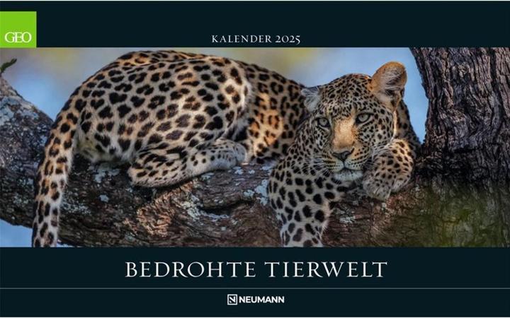 Produktbild Neumann GEO - Bedrohte Tierwelt 2025 Wandkalender, 58x36cm, Posterkalender mit Abbildungen gefährderter (58 x 36 cm, Deutsch)