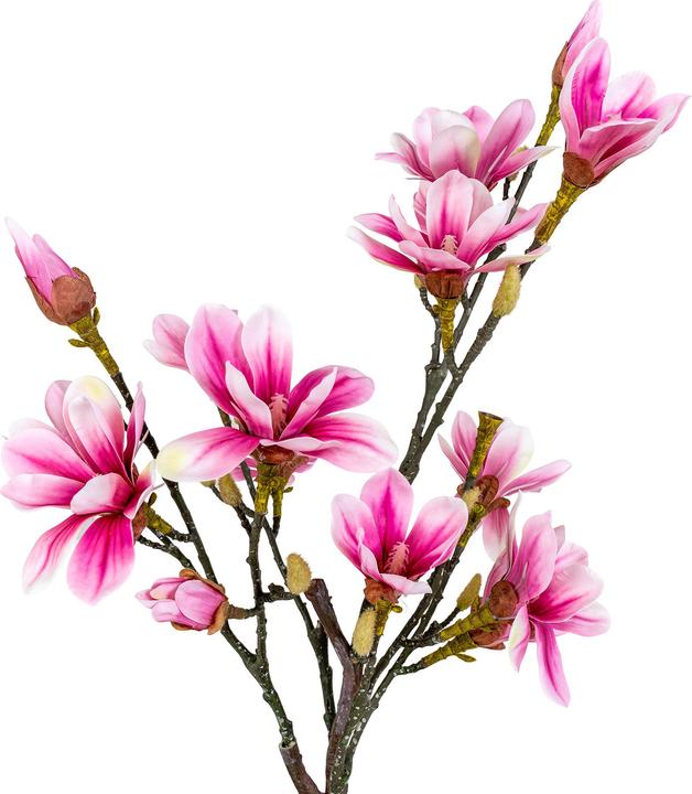 Produktbild House Nordic Magnolia (75 cm)