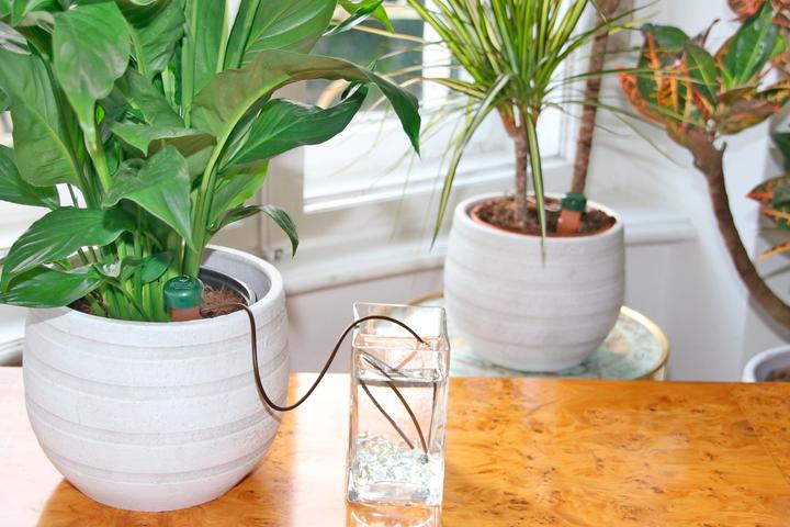 Actual product image Blumat Water dispenser (Clay cone)