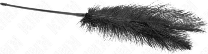 Produktbild Kink Straussenfedern Zum Kitzeln 19 cm