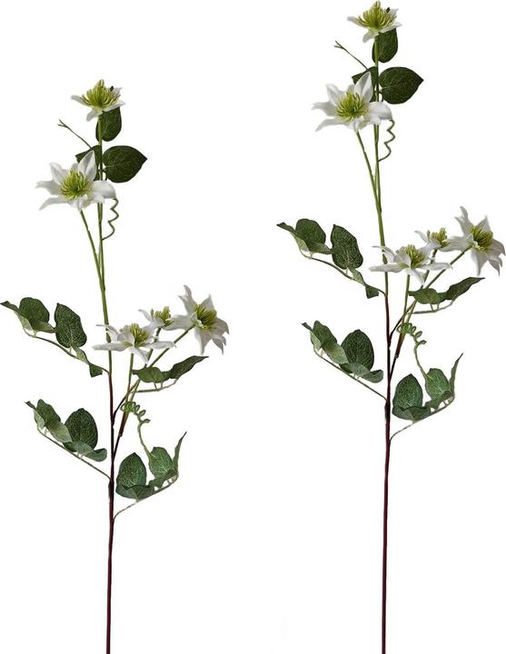 Produktbild NTK-Collection Clematis Weiss 2er Set 78 cm (78 cm)