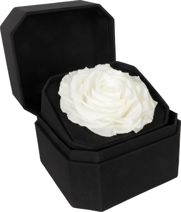 white (black box)
