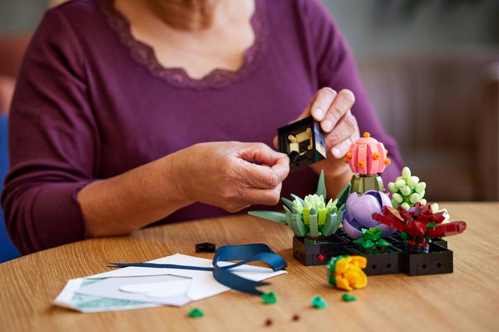 Actual product image LEGO Succulents (10309, LEGO Botanical, LEGO Rare Sets)