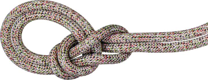 Produktbild Mammut 9.5 Crag We Care Classic Rope (80 m)