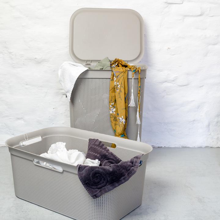 Image du produit Rotho Brises 1 (50 l)