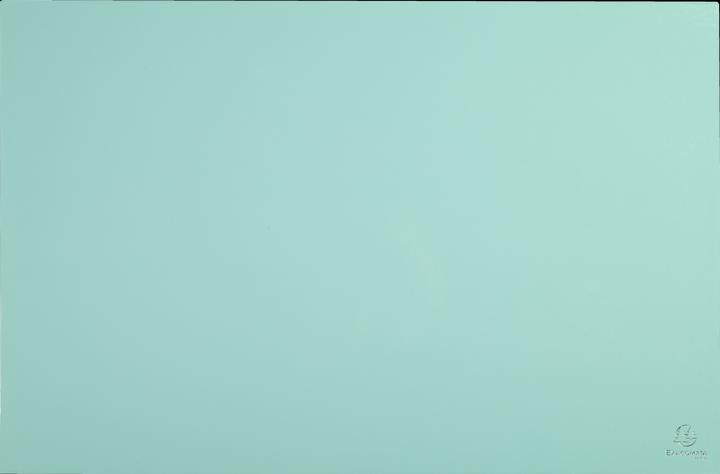 Actual product image Exacompta Desk pad (585 x 385 mm)