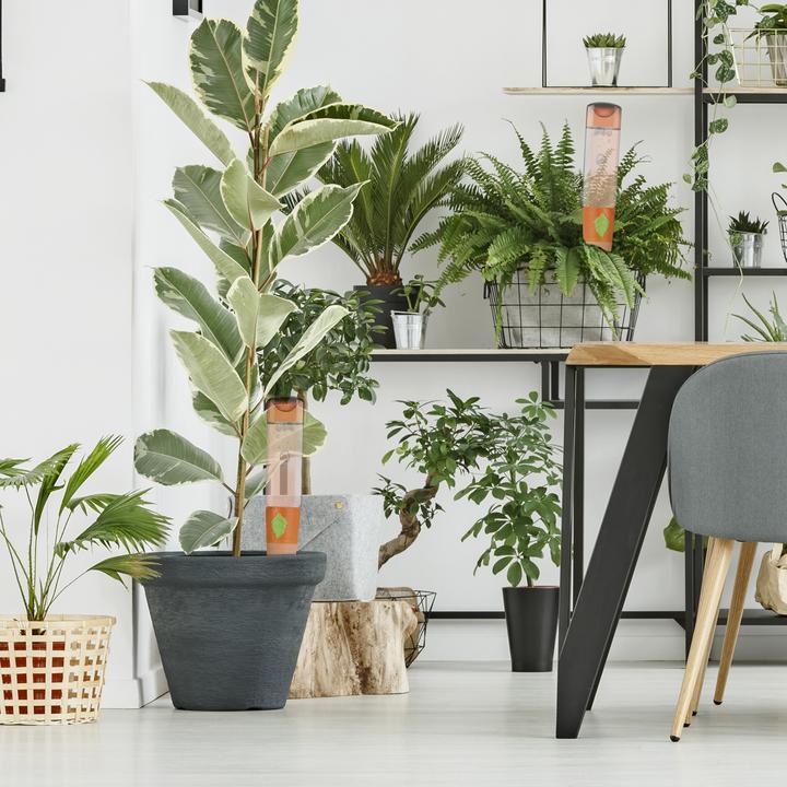 Actual product image Relaxdays Watering spikes (Clay cone)