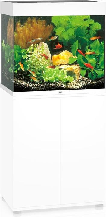 Immagine prodotto Juwel Aquarium Lido (120 l)