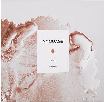 Actual product image Amouage Slide (Eau de parfum, 100 ml)