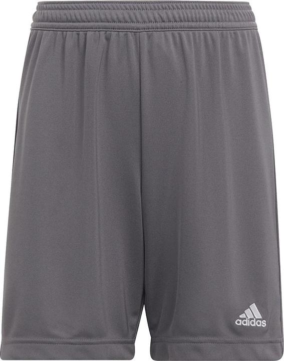 Actual product image adidas Entrada 22 Shorts (152)