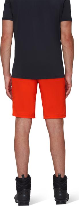 Actual product image Mammut Taiss SO Shorts Men (46)